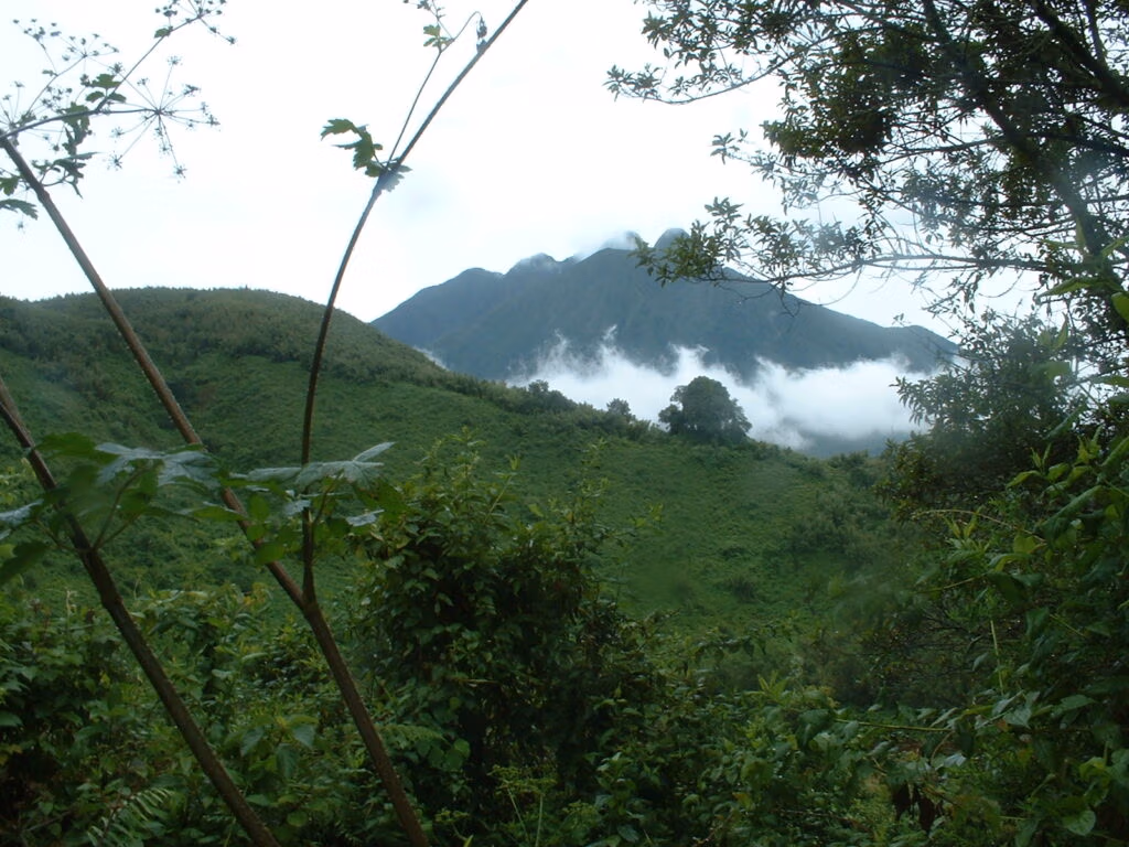 Saving the Rhino: Virunga Mountains Wildlife Sanctuary for Gorillas and Elephants, beneficiaries that help us tell it's a great Cleantech project